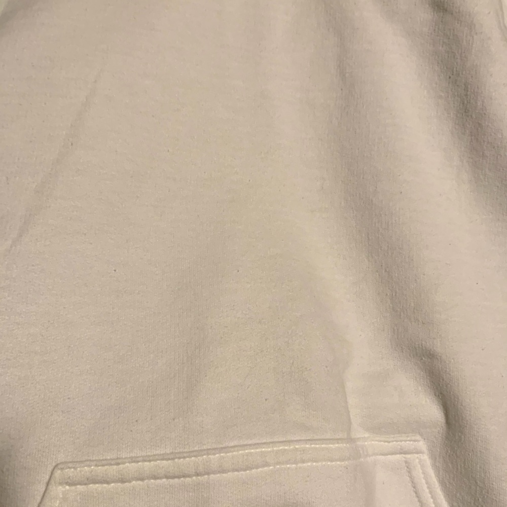 100 dollar hoodies